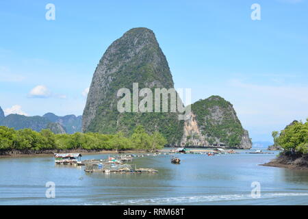 Gabbia di allevamento di pesci nella Baia di Phang Nga Foto Stock