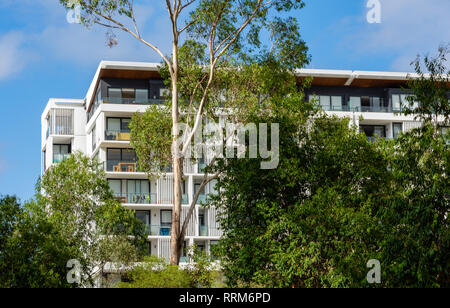 Un edificio con appartamenti vista attraverso gli alberi in un sobborgo di Brisbane Australia Foto Stock