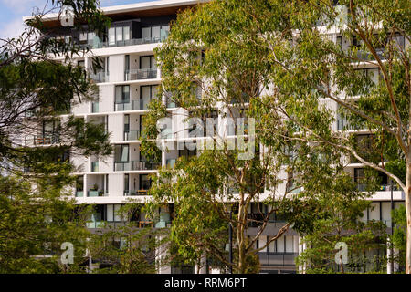 Un edificio con appartamenti vista attraverso gli alberi in un sobborgo di Brisbane Australia Foto Stock
