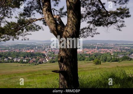 Aussicht über Goslar, Harz, Niedersachsen, Deutschland Foto Stock