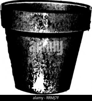 . Fioristi' review [microformati]. Floricoltura. ,(IK.Miii;se 1, i:(17. I fioristi^ Rassegna 83 Garofani,Chrysantliemuins,ecc. Scrivere per i prezzi. Stuber &AMP; Richardson 4852 Holly San, SEATTLE WASH. Menzionare il Berlew quando scrivi. Seattle ceramica J. O. Hankins, Prop. 4157] Conrad Avenue Seattle, WASH. Menzionare il Reylew quando yon scrivere.. Felci Koston, Whitnmiiii. Harrisii, Scottii, Tediiy, Jr., e Aiiierpohlii •.'-•"•' (IT,: selezionare •...W..U j-"^' "&GT;: Selezionare ?;?.;; ho^t "-"'&LT;=•' 1.-'.-.: seieci ;;;: ;:5" Casli, per favore. .610 ",6th Ave., S. K.. Portland. A-. Menzione Foto Stock