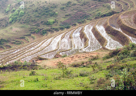 Terrazzati riso paddy collina su un giorno nuvoloso, Sa Pa, Vietnam Foto Stock