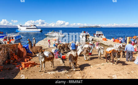 Contadini boliviano arrivati con il traghetto, riuniti sulla riva del lago Titicaca con carichi pesanti asini in primo piano, stretto di Tiquina, Bo Foto Stock