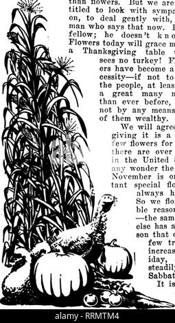 . Fioristi' review [microformati]. Floricoltura. .Ml fioristi flessibile che grafico le loro vendite in modo che essi non hanno bisogno di basare i loro piani su tricky mem- ory, trovati in apertura di questa settimana hanno avuto bisogno di maggiori quantità di stock mai pro- fornito contro gli ordini di ringraziamento. In un- Nalles del commercio di ringraziamento è stata conosciuta per anni come "un extra Buona Sabato" e la settimana come "uno con due sabati." La stima dovrà essere rivisto. Il ringraziamento è stato il massimo grado per diversi anni. Nel 1914 abbiamo attribuito un aumento di un grado speciale di gratitudine a causa t Foto Stock