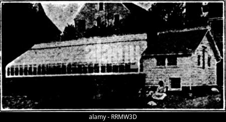 . Fioristi' review [microformati]. Floricoltura. Case efficiente più attenti e prudenti i coltivatori in tutti gli Stati Uniti identif- nize i meriti della nostra costruzione. È il metodo che dà è durevole, case moderne. Le migliori attrezzature e dispositivi salva-lavoro, combinata con una rigorosa economia, ci permettono di citare i prezzi più bassi per essere^t materiali. Scrivere per i nostri schizzi e stime. Ordinare ciò di cui avete bisogno, sia per le operazioni di riparazione o di nuove case. Materiale a effetto serra HARDWARE FOCOLAIO ANTA ICKES-BRAUN MILL CO. 2330 WABANSIA AVENUE, (vicino occidentale e nord Aves.) CHICAGO, ill. Menzionare Th Foto Stock
