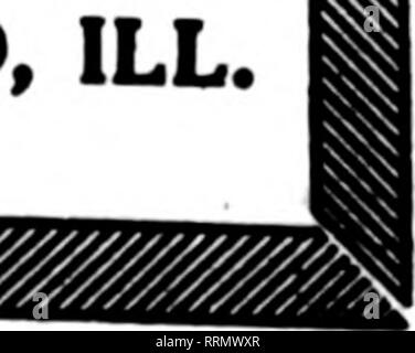 . Fioristi' review [microformati]. Floricoltura. Lampadine è una Spedizione ritardata ha appena arrivati in un-No. 1 condizioni e, poiché questi sono tutti dalla nostra regolare Holhnd shipper, noi non esitate dopo attento esame al loro marchio "valga la pena di qualità". Nolo Pagato in entrambi i modi se non possiamo dimostrare questo. Offerte prezzi quotati per quantità. Crochi per 100 Hollaod del premio $1.00 grande Panno giallo d'Oro Pres. Lincoln B. V. Bruno SirW. Scott Mt. Blanc GLADIOLI 0,85 Per 1000 $ 9.00 7.00 sposa arrossendo sposa Peach Blossom Ackermanii ... '} .76 narcisi carta bianca Grand., 1300 a caso SCILLA CA Foto Stock