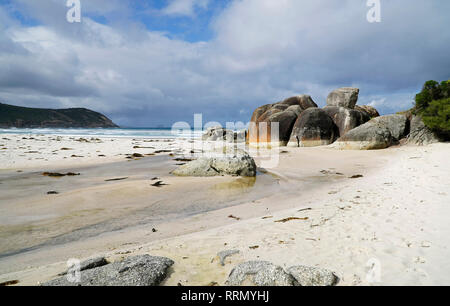 Wilsons Prom Parco Nazionale in Victoria Australia Squeaky Beach Foto Stock