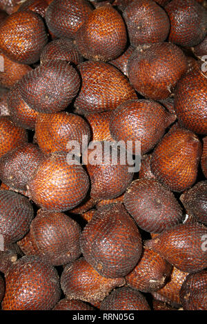 Frutto di serpente a.k.a. Salak (Salacca zalacca) per la vendita nel mercato Berastagi, Sumatra, Indonesia Foto Stock