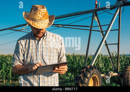 Grave agricoltore interessato utilizzando computer tablet in cornfield con impianto di irrigazione al di fuori del funzionamento durante le calde giornate estive Foto Stock