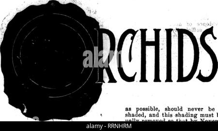 . Fioristi' review [microformati]. Floricoltura. , Ty/w;?.. 717 18 fioristi' Riesaminare OCTOBBB 21, 191S. 2JI1IIIIIIII1IIIIIIII11III11II1I1IIIIIIIII1IIIIII1IIIIIIII1III1I1IIIIIIIIIIIIIIIIIIIIIII1IIIIIIIIIIIIII1I|^ esso SEASONABLE suggerimenti io ho per fioristi meridionale | ^llllllllllllllllllllllllllllllllllllllllllllllllllllllllllllllllllllllllllllllllllllllllllllllllllllllli? J "bASirATioNS nel soxtth. ' Per quanto riguarda i ctm imparare, la perdita da ; jStMO^rot ill *^6 sovMth questo anno non è :.',tl3^yre il normale. .IPhe pericolo è passato, ' ora che eool weatlier è qui e noi exQMt. Solo un occasio Foto Stock