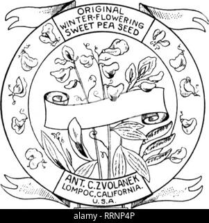 . Fioristi' review [microformati]. Floricoltura. E HARRY BAILEY, R. F. D. 6, Los Angeles, Cal. = Fiiiiiiiiiiiiiiiiiiiiiiiiiiiiiiiiiiiiiiiiiiiiiiiiiiiiiiiiiiiiiiiiiiiiiimiiiiiiiiiiiiiiiiiiiiiiiiiiiiiiiin Meiitlon il riesame quando scrivi. Ciclamino SPLENDENS GIGANTEUM 3 pollici, uer 100 $10.00 4 pollici, per 100 26.00 Boston-Whitmani, f-'.nch I'i.OO per doz. Boston-Whitmani. 3 pollici 8,00 100 Boston-Whitmani, " 2 pollici 4.00 per 100 H. HAYASBI &AMP; CO., '''Hn'J{.tiZckuf. Menzionare il riesame quando scrivi. Forte degli steli di tabacco al Ic per libbra. E. W. McLELLAN CO. 18-24 leccare il posto. SAN FRANCISCO, CAL. FIEL Foto Stock