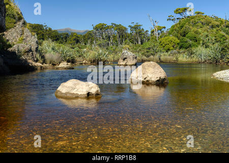 Oceania Nuova Zelanda Aotearoa, Isola del Sud, West Coast, spiaggia e di ingresso Foto Stock