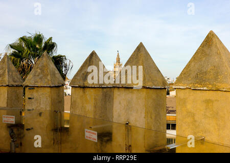 Vista panoramica dalla Torre del Oro (torre d'Oro) oltre la Cattedrale di Siviglia, in Andalusia, Spagna. Foto Stock