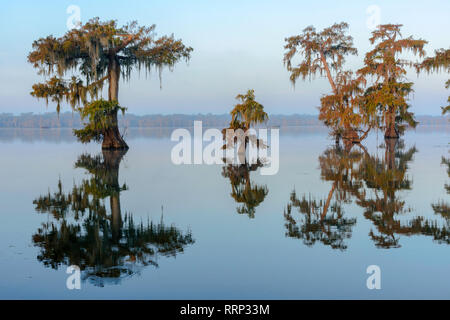 Stati Uniti d'America, Louisiana, Jefferson parrocchia, Lafayette,Lago di Martin Foto Stock