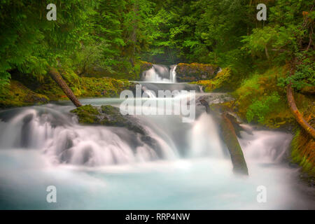 Sahalie Falls e Koosah Falls sono situati lungo il McKenzie Pass-Santiam Pass e West Cascades National Scenic Byways fuori la Highway 126. Foto Stock