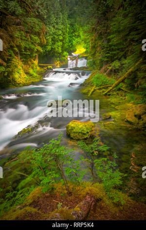 Sahalie Falls e Koosah Falls sono situati lungo il McKenzie Pass-Santiam Pass e West Cascades National Scenic Byways fuori la Highway 126. Foto Stock