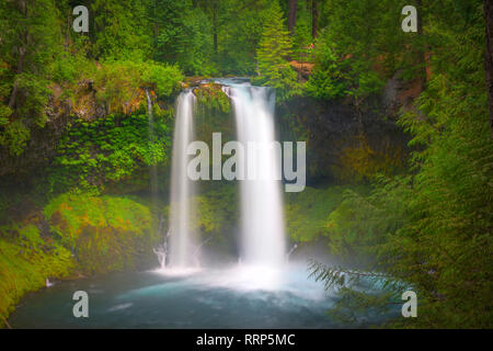 Sahalie Falls e Koosah Falls sono situati lungo il McKenzie Pass-Santiam Pass e West Cascades National Scenic Byways fuori la Highway 126. Foto Stock