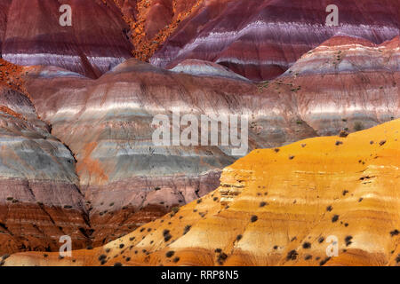 Immagini da Paria Ghost Town colline dipinte nel Grand Staircase-Escalante monumento nazionale nel sud dello Utah Foto Stock