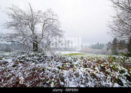 Immagini da Olympia Washington Foto Stock