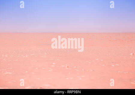 Di un bel colore rosa lago salato dello sfondo. Dunaliella salina in estate calore rende il lago rosso. I cristalli di sale simile coralli vivi in acqua salata Foto Stock