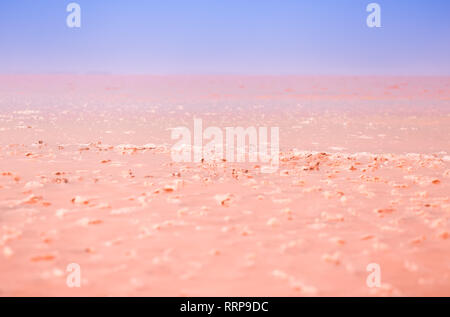 Di un bel colore rosa lago salato dello sfondo. Dunaliella salina in estate calore rende il lago rosso. I cristalli di sale simile coralli vivi in acqua salata Foto Stock