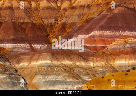 Immagini da Paria Ghost Town colline dipinte nel Grand Staircase-Escalante monumento nazionale nel sud dello Utah Foto Stock