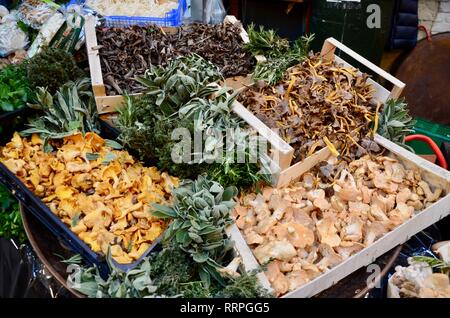 Un display di funghi esotici nei vassoi a Borough Market LONDON REGNO UNITO Foto Stock