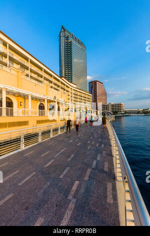 Tampa Riverwalk un sentiero pedonale lungo il fiume Hillsborough in downtown Tampa, Florida. Foto Stock