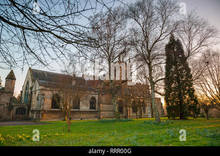 Kidderminster, Regno Unito. Il 26 febbraio, 2019. Regno Unito: meteo con perfettamente sereno, vi è una golden Sunset over Worcestershire. Giunchiglie può essere visto nel sagrato della chiesa di Santa Maria e di tutti i santi " Chiesa, Kidderminster, come l'ultima della giornata il sole si riflette sulla Chiesa. Credito: Lee Hudson/Alamy Live News Foto Stock