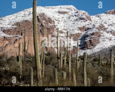Tucson, Arizona, USA, 26 febbraio, 2019. Dopo la grande tempesta di neve in Tucson cercando fino al Catalina Mountain Range. Finger Rock. Credito: Jeff Smith/ Alamy live news Foto Stock