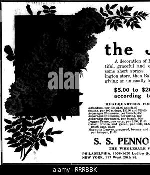 . Fioristi' review [microformati]. Floricoltura. Giugno 3, 1915. I fioristi' Riesaminare 87. Si prega di notare che queste immagini vengono estratte dalla pagina sottoposta a scansione di immagini che possono essere state migliorate digitalmente per la leggibilità - Colorazione e aspetto di queste illustrazioni potrebbero non perfettamente assomigliano al lavoro originale. Chicago : fioristi' Pub. Co Foto Stock