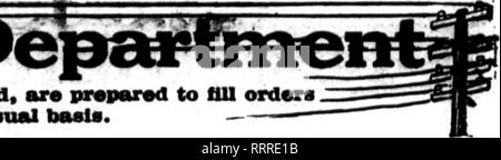 . Fioristi' review [microformati]. Floricoltura. Til* fioraio* che"0 eanta ^ippeiur su th" !"?:•? Oarrylnc questa testa, sono pcepared a mi ordine*. -- ftrem altri florlat* per deUvery locale sulla liaoal baele. LKADING VLORISTS Geny Bros. 818 Filth Avenne n. NASHVILLE, TENN.. Si prega di notare che queste immagini vengono estratte dalla pagina sottoposta a scansione di immagini che possono essere state migliorate digitalmente per la leggibilità - Colorazione e aspetto di queste illustrazioni potrebbero non perfettamente assomigliano al lavoro originale. Chicago : fioristi' Pub. Co Foto Stock