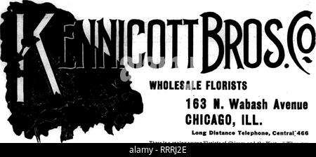 . Fioristi' review [microformati]. Floricoltura. W^ •^'?T&LT;^r'irr ? W *-W ? Dbcbhbeb 10, 1914. I fioristi' Review 17. Commercio all'ingrosso fioristi 163 N. Wabash Avenue Chicago, ill. Lons distanza telefono, Centrar466 vi è una sayinv amone fioristi di Chicago e il West- " quando si sono gtucli, andare a Kennicott's-è possibile ottenerla." Jm' Natale fiori e verde ordinare tutto ciò di cui avete bisogno -- potete ottenere tutto questo e fantasia di legno di bosso, 50-lb. caso $7.50-$8; mazzetto, 30c LEUCOTHOE Fine stock lungo 75c per 100 MEXICAN IVY ho voglia di asparagi stock 60c per 100 spruzzi di fantasia.. .$2.00 @ $3.00 per 100 g Foto Stock