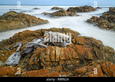 Australia e Tasmania, Costa Ovest, Tarkine Costa, Foto Stock