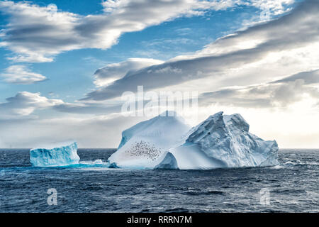 Iceberg in Antartide mare Foto Stock