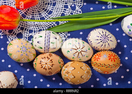 Uova di Pasqua e la Tulip sulla tovaglia blu Foto Stock