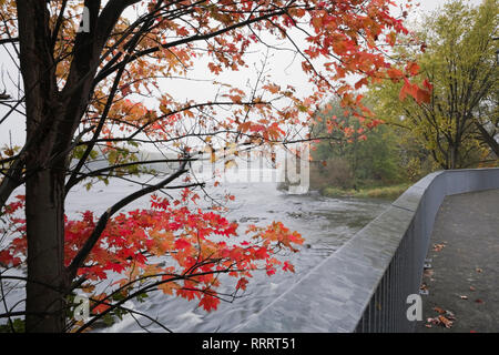 Mille-Iles fiume in autunno, Ile des Moulins parco pubblico, Old Terrebonne, Lanaudiere, Quebec, Canada Foto Stock