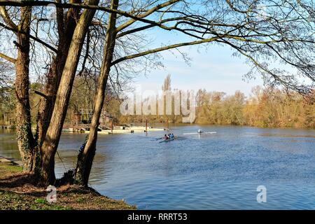 Il fiume il Tamigi a Weybridge con donna ricreative rematori di praticare in un coxless quattro barche a remi su un soleggiato inverni giorno, Surrey in Inghilterra REGNO UNITO Foto Stock