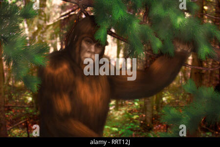 Bigfoot nascosto dietro un ramo di pino nel bosco in una giornata di sole Foto Stock