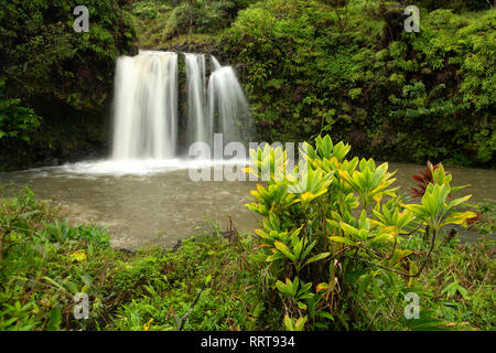 Sud Pacifico, STATI UNITI D'AMERICA, Hawaii, Hawaiian, Maui, Hana,Hana autostrada , cascata Foto Stock