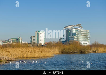 La Baia di Cardiff zone umide con la St Davids Hotel e altri edifici in background su una soleggiata giornata di febbraio, Galles del Sud Foto Stock