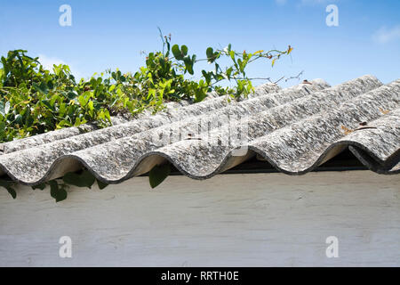 Pericolo tetto in amianto - uno dei più pericolosi di materiali in edifici Foto Stock