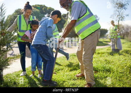 Multi-generazione volontari di famiglia a piantare alberi nel soleggiato parco Foto Stock