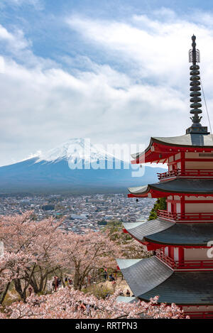 Il monte Fuji visto da dietro Chureito Pagoda in piena fioritura fiori di ciliegio & blue sky sfondo naturale. Arakurayama Sengen Park,Yamanashi, Giappone Foto Stock