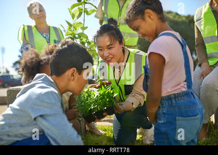 Donna e bambini volontari piantando erbe nel soleggiato parco Foto Stock