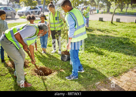 I volontari a piantare alberi nel soleggiato parco Foto Stock