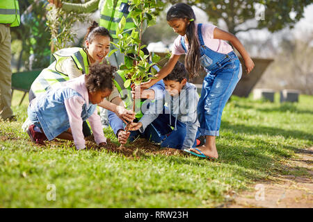 Kid volontari aiutano ad albero impianto ins soleggiato parco Foto Stock