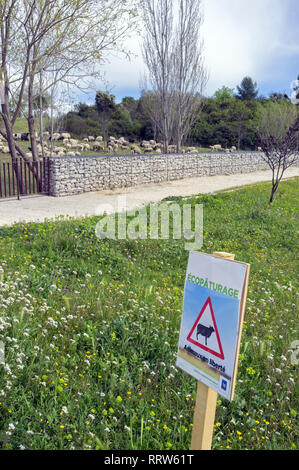 Manutenzione di spazi verdi da un gregge di pecore nel quartiere Malbosc a Montpellier Francia Foto Stock