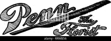 . Fioristi' review [microformati]. Floricoltura. B! Rprise edition ogni amante delle rose dovrebbe visitare il nostro negozio di fiori di oggi o di domani e vedere questa magnifi* cento display. L'invito è cordiale e la splendida blumi che abbiamo raccolto sono per tutti di godere. Molti sono rari e alcuni sono qui mostrati per la prima volta. La sig.ra Chas. E. Russell Christy Miller Killarney (bianco e rosa) Lady Hilliugdon Richniond ^ Sunburst American Beauty Queen Killarney Sig.ra Aaron Ward Prince de Bulgarie Cardinale Melodv sopra è solo un elenco parziale di alcuni dei più popolari di rose. Durante questa esposizione e vendita th Foto Stock