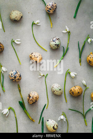 Sfondo di pasqua con uova di quaglia e snowdrop fiori. Molla dello sfondo. Overhead flatlay Pasqua Foto Stock